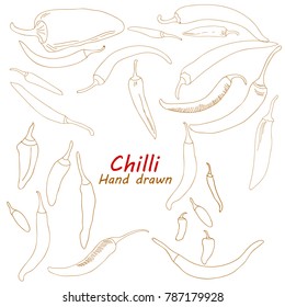 chili hand drawn illustration vector