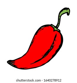 Chili hand drawn vector on doodle style