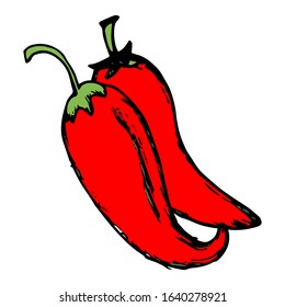 Chili hand drawn vector on doodle style