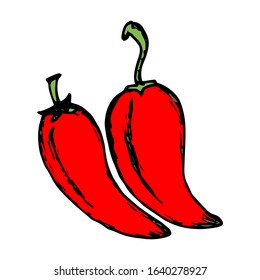 Chili hand drawn vector on doodle style