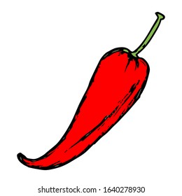 Chili hand drawn vector on doodle style