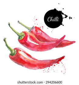 Chili. Hand drawn watercolor painting on white background. Vector illustration