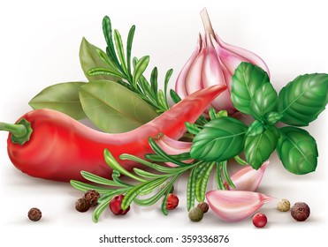 Chili hot pepper and aromatic spices. Vector illustration