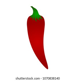 Chili icon vector