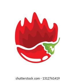 Chili icon vector image