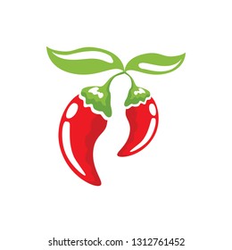 Chili icon vector image