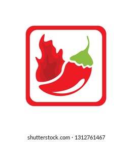 Chili icon vector image