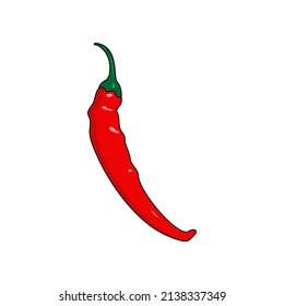chili illustration flat vector design