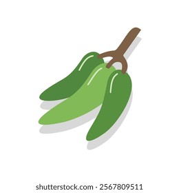 Chili illustration. Fresh vegetables. Hot chili. Pepper. Spicy taste. Vegetable illustration.