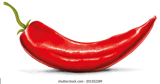 Chili isolated on White