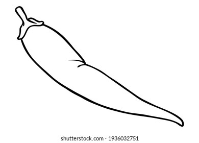 ilustración vectorial de la línea de chili,
aislado en fondo blanco.vista superior