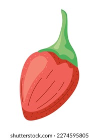chili on white background icon