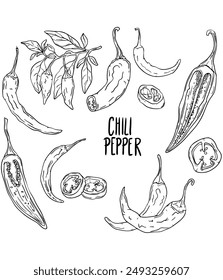 Vector de chile pimiento. Comida caliente. Juego de ají.