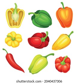 Chili Pepper and Bell Pepper Colorful Vegetable Ingredient for Culinary Vector Set