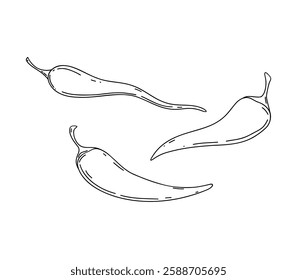 Chili pepper, black and white graphic illustration hand-drawn with a line, isolated on a white background, vector. A set of different capsicum icons. A spicy ingredient, seasoning