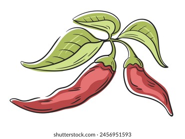Chili pepper branch with leaves isolated on white background. Vintage chili pepper in cartoon style. Vector illustration