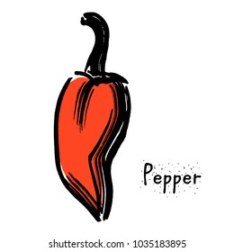 chili pepper colored vector illustration. Isolated pepper