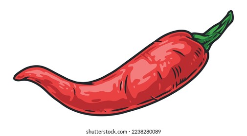Chili pepper colorful element detailed a whole red pod for cooking hot spicy vegetable food dishes vector illustration