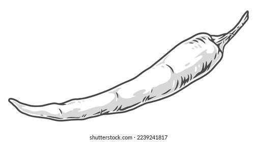 Chili pepper colorful element detailed pod of hot spice for cooking for decorations of greengrocers counter vector illustration