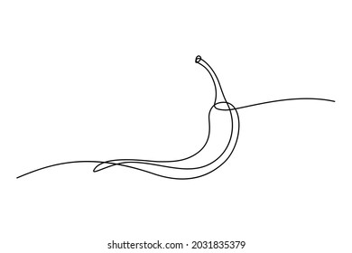 Chili pepper in continuous line art drawing style. Hot spice chilli black linear sketch isolated on white background. Vector illustration