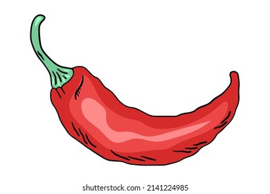 Chilischoten, ein doodle-artiges Vektordesign-Element einzeln auf weißem Hintergrund, handgezeichnet