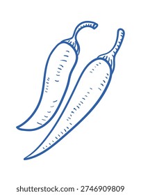 Chili pepper duo with textured linework and rustic hatch details. Spicy food ingredient sketch with botanical contour emphasis. Vector illustration