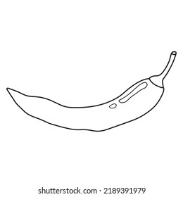 Chili pepper flat icon. Hot peppers. fresh vegetable. Farm ingredient for dishes. Hand drawn vector illustration.