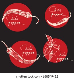 Chili Pepper hand drawn logo on black background. Vegetable engraved style object. Isolated hot spicy mexican pepper. Detailed vegetarian food drawing. Paprika icon.