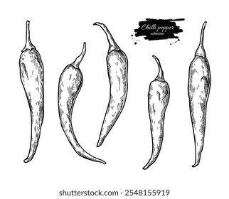 Chili Pepper desenhado à mão ilustração vetorial. Comida mexicana picante isolada. Desenho de pimenta caiena jalapeno. Objeto de estilo gravado vegetal. Ingrediente de molho de salsa. Condimentos no mercado agrícola