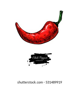 Chili Pepper hand drawn vector illustration. Vegetable object. Isolated hot spicy mexican flavor. Detailed vegetarian food drawing. Eco Farm market product. Red Paprika icon
