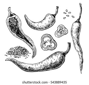 Chili Pepper hand drawn vector illustration. Vegetable engraved style object. Isolated hot spicy mexican pepper, sliced and crushed pieces, seed. Vegetarian food drawing. Paprika Farm market product.