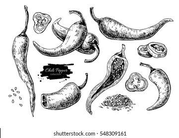 Chili Pepper hand drawn vector illustration. Vegetable engraved style object. Isolated hot spicy mexican pepper, sliced and crushed pieces, seed. Detailed vegetarian food drawing. Farm market Paprika