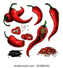 Chili Pepper hand drawn vector illustration. Vegetable artistic style object. Isolated hot spicy mexican pepper, sliced and crushed pieces, seed. Detailed vegetarian food drawing. Farm market Paprika