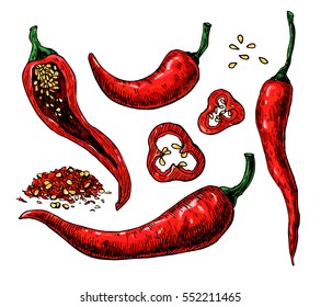 Chili Pepper hand drawn vector illustration. Vegetable artistic style object. Isolated hot spicy mexican pepper, sliced and crushed pieces, seed. Detailed vegetarian food drawing. Farm market Paprika
