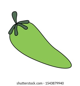 chili pepper hot vegetable icon vector illustration design