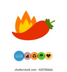 Chili pepper icon