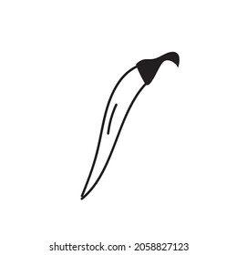 Chili pepper icon doodle vector illustration
