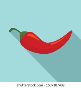 Chili pepper icon. Flat illustration of chili pepper vector icon for web design