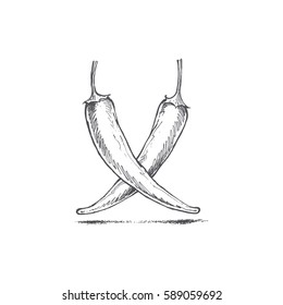 chili pepper illustration by hand, crossed pods hot pepper