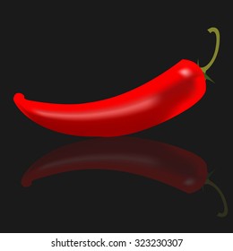 chili pepper isolated 