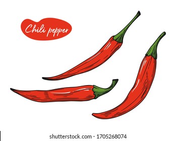 Chili pepper isolated on a white background. Vector illustration in sketch style.
