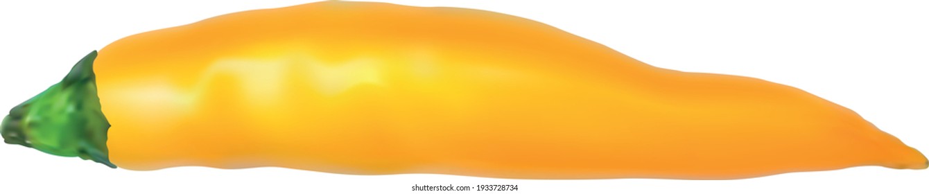 Chili pepper isolated on white background. Jalapeno pepper. Yellow pepper icon. Hot spicy chilli. Spice, traditional ingredient of cuisine. Vector
