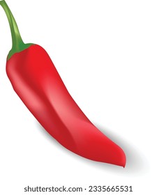 Chili pepper isolated on white background. Ripe chili pepper Clipping Path