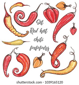 Chili pepper isolated pattern. Set of backgrounds with red hot chili peppers.