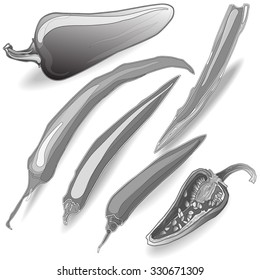 Chili pepper isolated white background