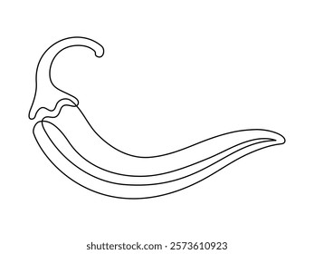 Chili pepper line isolated on white background. Simple vegetable silhouette. Hand drawn chili pepper outline. Vector illustration