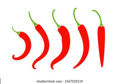 Chili Pepper Logo Isolated On 260nw 1567529119 