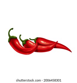 Chili pepper, paprika or capsicum. Hot raw red pepper, vegan food. Isolated vector illustration of chili pepper.