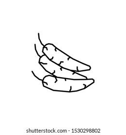 Chili pepper, plant icon. Element of Dia de muertos icon