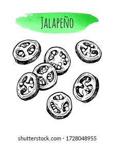 Jalapeño. Chili pepper pod. Ink sketch isolated on white background. Hand drawn vector illustration. Retro style.